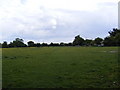 Field next to the footpath to the B1438 Yarmouth Road