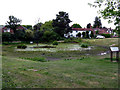 Old Coulsdon:  Bradmore Pond