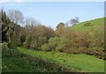 Dart valley below Templeton Bridge