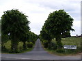 Wickham Market Cemetery