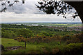 The view from the Wilderswood car park