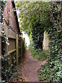 Footpath to the B1438 Snowdon Hill