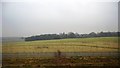 Countryside east of Bawtry