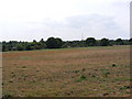 Martlesham Heath