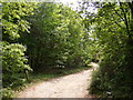 TM2546 : Walk Farm Private Woodland by Geographer