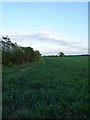 Footpath to Rooker Hill Farm