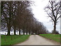 Bridleway near Moulton