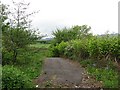 Waste ground, Bannockburn