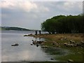 Derwent Reservoir, south shore