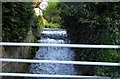 Waterfall on East Hendred Brook