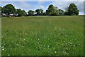 Footpath through a field at Llansoy