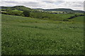 Farmland near Llangwm