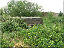 TG2721 : WWII site south of RAF Coltishall - pillbox by Evelyn Simak