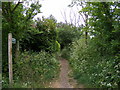 Little Lane Bridleway to Broad Road