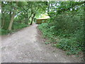 Property fence around the most easterly house in Burgess Hill