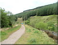 Walking the dogs near Maerdy