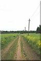 Footpath to Stanford