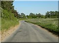 Country road just north of Bardwell village