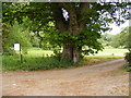 The entrance to Glevering Mill Golf Course