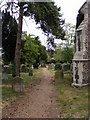 Path in All Saints Churchyard