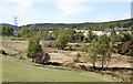 Open Land And Saw Mill Near Milton