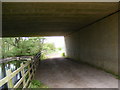 TM3156 : Under the A12 Wickham Market Bypass by Geographer