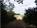 Bridleway to Hatcheston Lodge & B1116 The Street