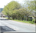 SE edge of Maerdy