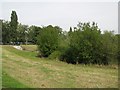 The Quaggy River flood defence scheme, Sutcliffe Park (2)