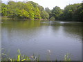 TL7604 : Danbury lake: middle by Lewis Potter