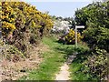 SY3892 : Footpath Junction with Gorse by Tony Atkin