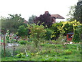 Eltham Palace Allotments