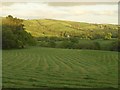 SS9112 : Mown grass, Quirk Hill by Derek Harper