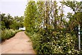 Footpath to Forest Hill