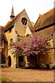 Tree in blossom at Ripon College