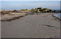 NR4654 : Beach at Ardtalla, Islay by Becky Williamson