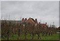 TQ6445 : Moat Farm Oast and orchards by N Chadwick