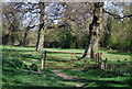 Greensand Way north of Broadham Green