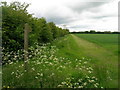 Footpath off Fenton Lane