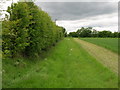 Footpath towards Barkston Ash