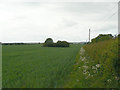 SP2959 : Fields near Wasperton Lane by Alan Murray-Rust