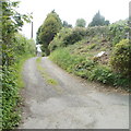 Track to Gellipistyll farm, Tranch