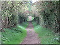 TQ4173 : Track towards Mottingham Farm by Mike Quinn