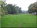 Grazing land between Sidcup Road (A20) and the Little Quaggy (2)