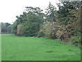 Grazing land between Sidcup Road (A20) and the Little Quaggy (3)