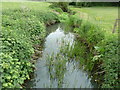 Stream in valley below Clearwaters Farm