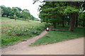 A no cycling path in Richmond Park