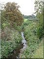 TQ4173 : The Quaggy River east of Mottingham Lane, SE12 (5) by Mike Quinn