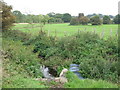 TQ4173 : The Quaggy River east of Mottingham Lane, SE12 (7) by Mike Quinn