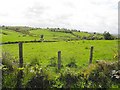 Camaghy Townland